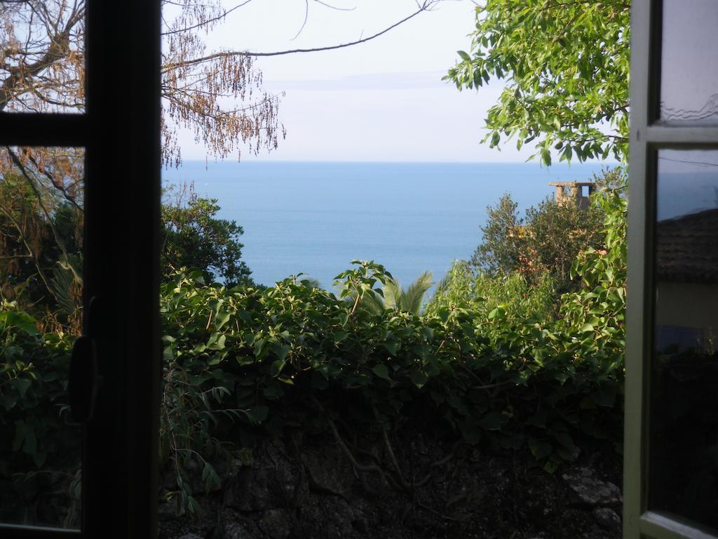 Mira Ceti Yurt Bed and Breakfast Σετ Εξωτερικό φωτογραφία